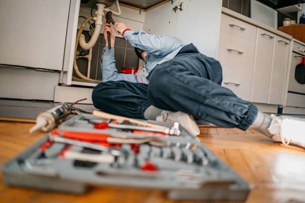 Best Plumbing Repair Near Me  in Walworth, WI