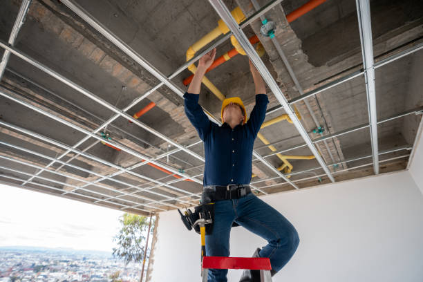 Best Plumbing Services Near Me  in Walworth, WI