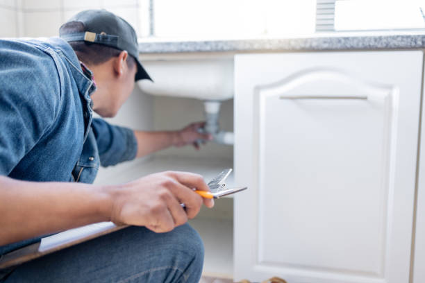 Best Local Plumber Services  in Walworth, WI