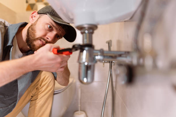 Best Plumbing Inspection Services  in Walworth, WI