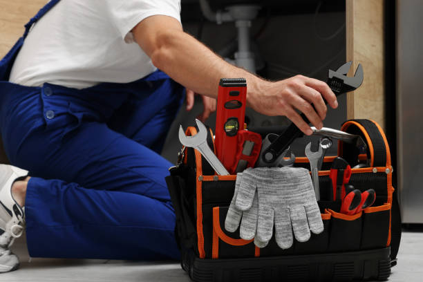 Best Affordable Plumbing Services  in Walworth, WI